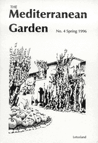 cover art for this issue